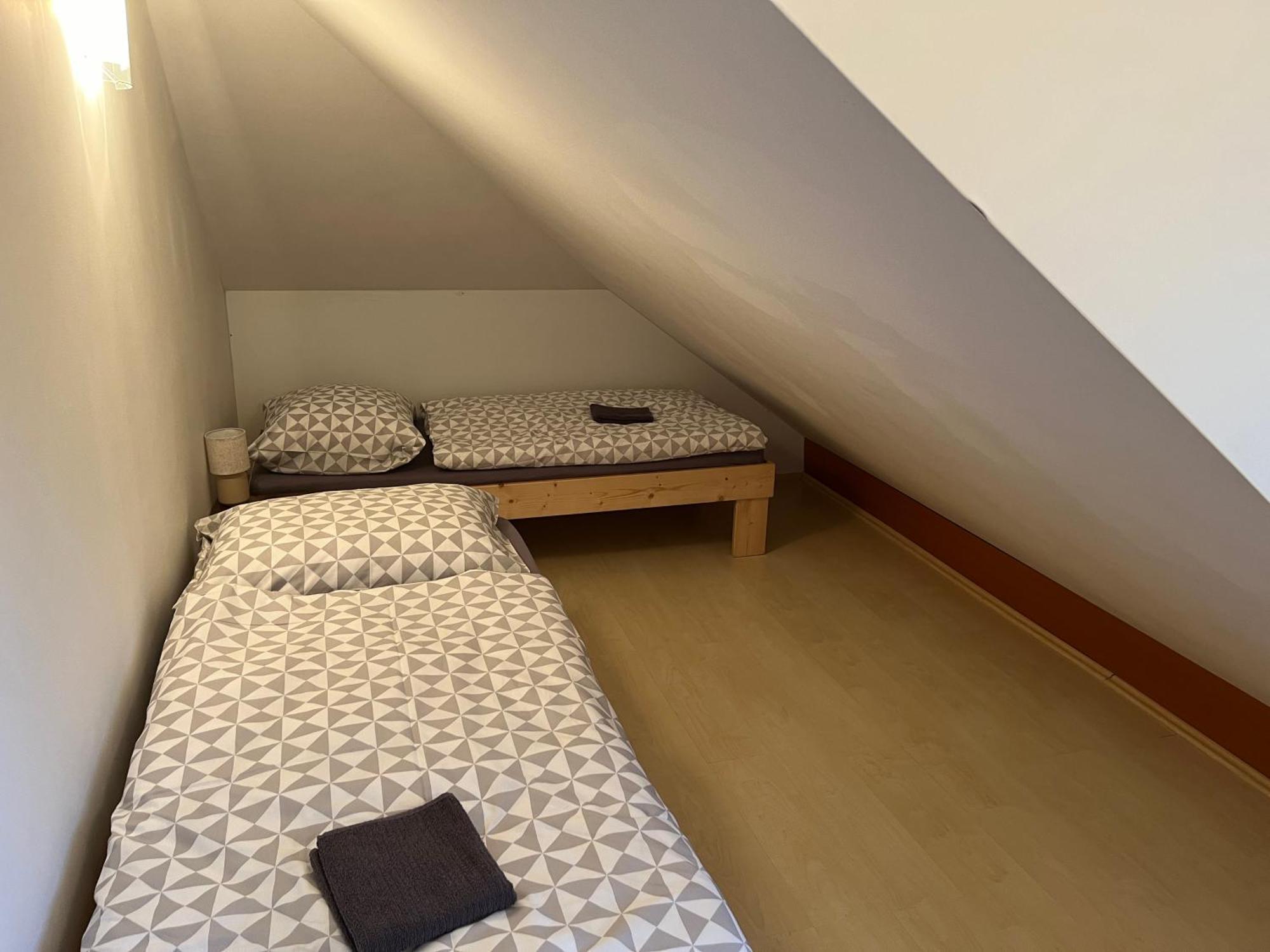 Apartman Na Bubnu Náchod エクステリア 写真